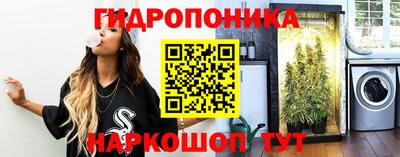 MESCALINE Кингисепп