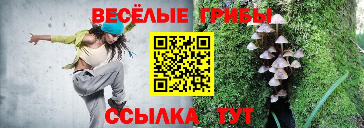 Галлюциногенные грибы мухоморы Иваново