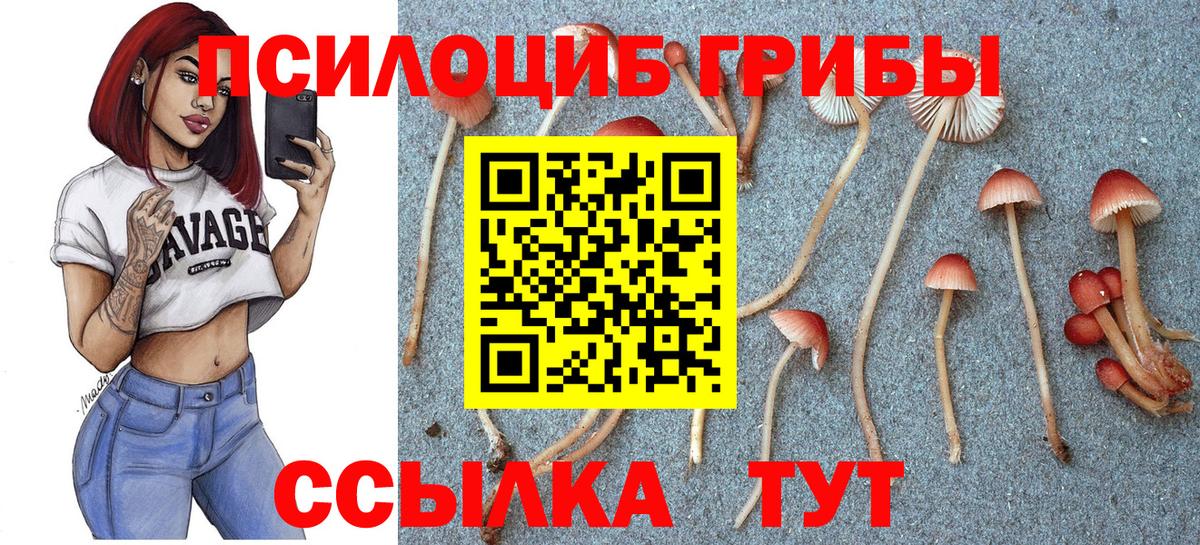 Псилоцибиновые грибы прущие грибы  Вход с VPN  дарнет шоп  Иваново 